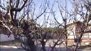 Μια ιαπωνία έγκυος πορνό οηε σπίτι ζεστό ταινία ενηλίκων οργανισμού