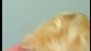 γυμνή τριχωτή γυναίκα ταινίες και πηδάει κολάζ σεξ βίντεο από το πάρτι