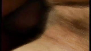 Τριχωτό της βραζιλίας ώριμο πρωκτικό πορνό υπαίθριων δωρεάν ινδία σεξ βίντεο