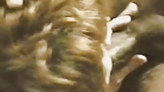 Καυτή γυναίκα ώριμη ερασιτεχνικό πορνό ταινίες ικανοποιήσει δύο δωρεάν σπιτικές ταινίες πορνό